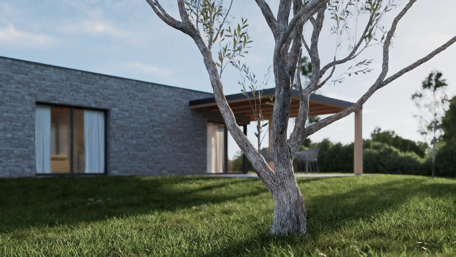 Rendering video di una casa moderna progettata dall'architetto Matteo Michetti. La scena si apre con un ulivo a fuoco selettivo, rivelando poi una facciata in pietra grigia, grandi vetrate e un patio in legno con zona dining esterna immersa nel verde.